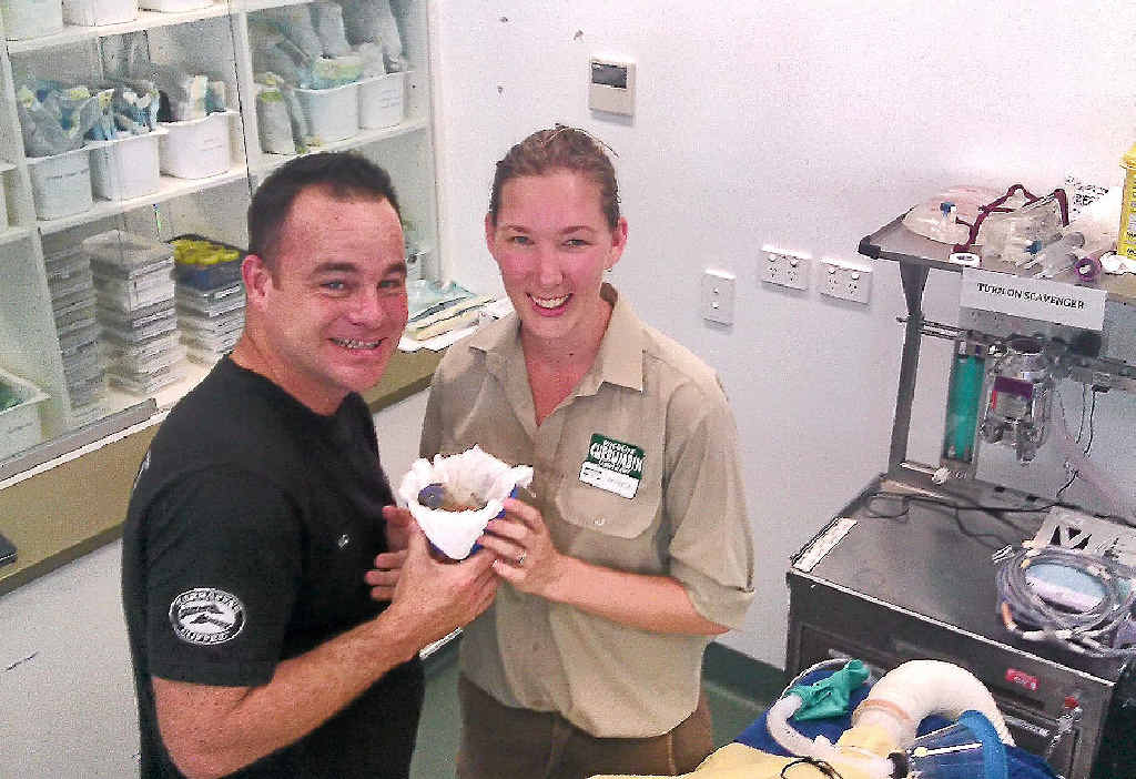 Kenton Campbell and senior vet nurse Patricia Swift with a rainbow lorikeet. Kenton Campbell and senior vet nurse Patricia Swift with a rainbow lorikeet.